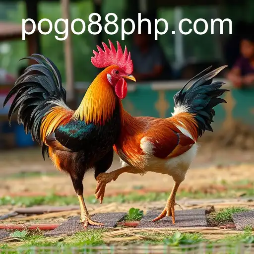 The Intriguing World of Sabong Games